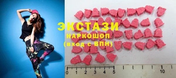 индика Бугульма