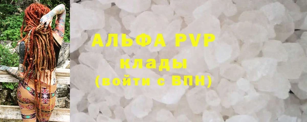 индика Бугульма
