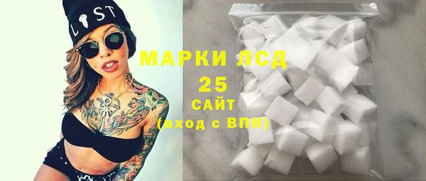 индика Бугульма
