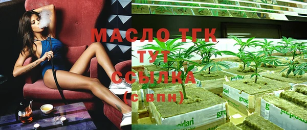 индика Бугульма