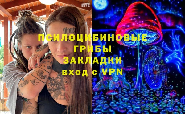 стафф Струнино