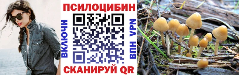 Псилоцибиновые грибы мицелий Вольск
