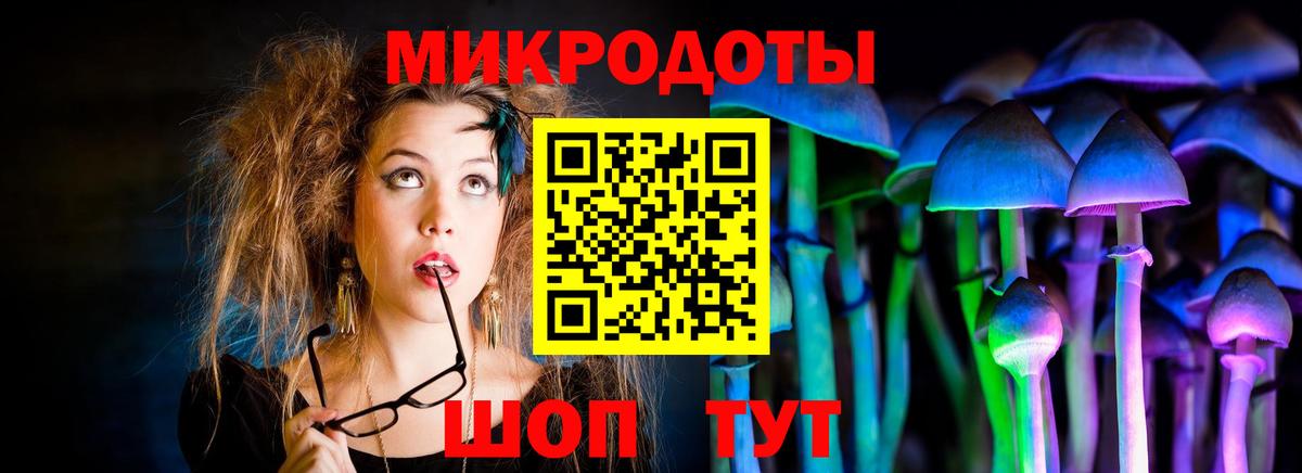 Псилоцибиновые грибы GOLDEN TEACHER  Галлюциногенные грибы GOLDEN TEACHER  Вольск  Вход с VPN 