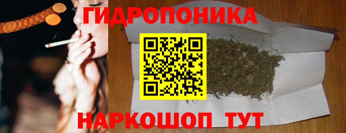 Конопля семена Вольск